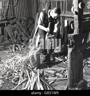 1950s, historical, male craftsman in workshop using drawknife to hand-shave or strip cricket bat willow. Stock Photo