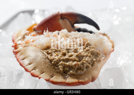 Prepared Crab in Shell Stock Photo