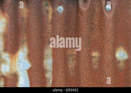 Rusting corrugated metal sheet Stock Photo