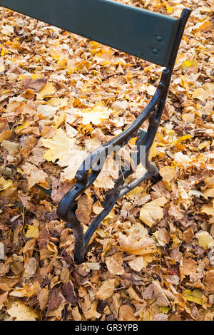 Old park bench with fallen yellow autumn leaves, vertical photo Stock Photo