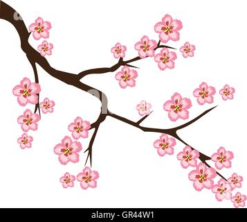 vector illustration of a cherry blossom branch Stock Vector Image & Art ...