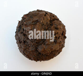 Chocolate brownie cookie isolated on white background. Top view with ...