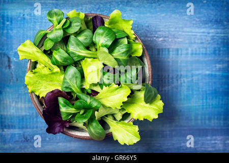 Mixed green salad leaves in a bowl on a blue background Stock Photo