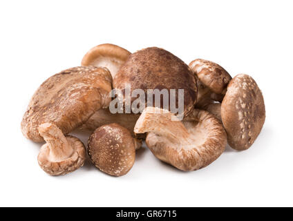 Shiitake Mushroom Stock Photo - Alamy