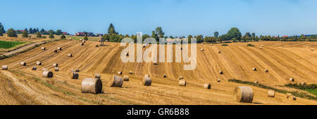 August summer countryside landscape panorama wit straw bales on a field. Stock Photo