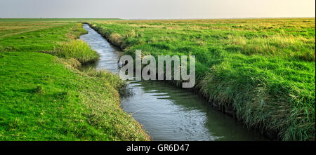 Field Stock Photo