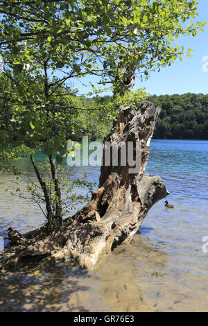 Plitvice Lakes National Park, Croatia, Europe Stock Photo