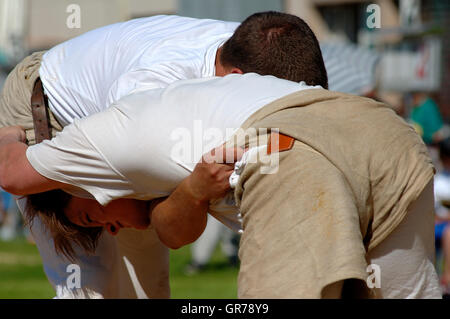 Swiss Wrestling Vaud Switzerland Stock Photo