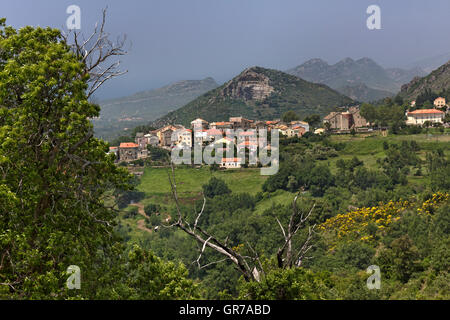 Mountain Village Olmeta Di Tuda Olmeta-Di-Tuda , Nebbio Region, Northern Corsica, France, Europe Stock Photo