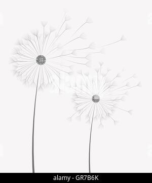 Vector dandelion flower Stock Vector