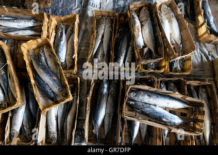 Baskets of salted fish Stock Photo