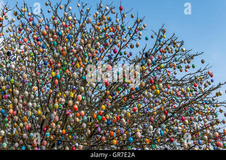 Eggs Tree Stock Photo