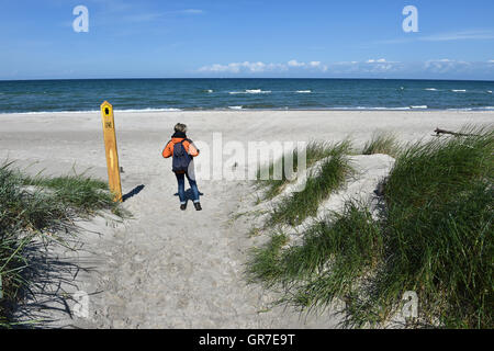 Beach On The Baltic Sea Stock Photo