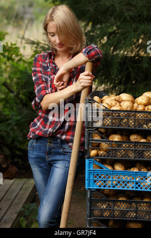 Woman leaning on a plastic boxes of potato. Horticulture, harvest, local farmer concept Stock Photo