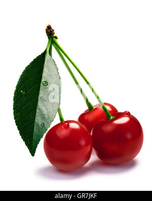 Sour cherries  (Prunus cerasus) with leaf. Clipping paths, shadow isolated Stock Photo