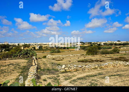 Arable Land With Stone Walls Near Qrendi, Malta Stock Photo