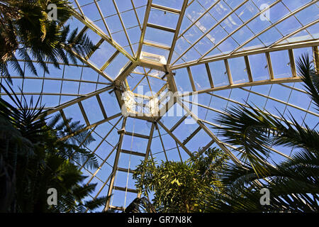 Glass Dome Of A Greenhouse, Botanical Garden Geneva, Switzerland Stock Photo