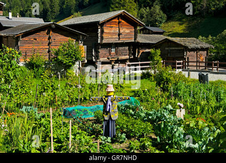Vegetable Garden With Scarecrow, Valaisian Chalets, Binn, Binntal Valley, Valais, Switzerland Stock Photo
