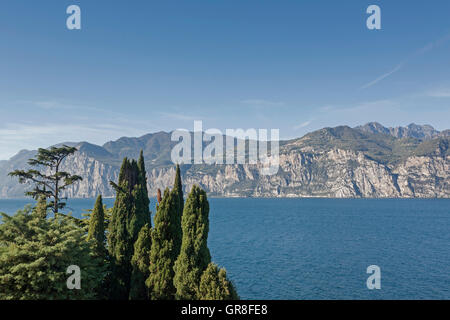 Mediterranean Vegetation On Lake Garda Stock Photo