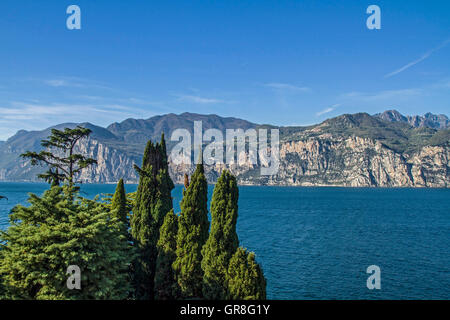 Mediterranean Vegetation On Lake Garda Stock Photo