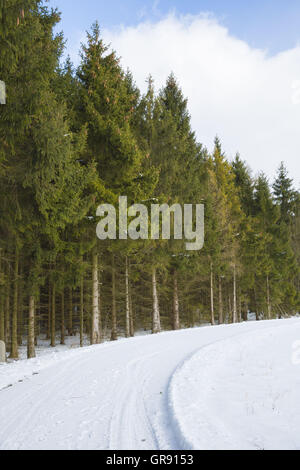 Snowy Road In The Franconian Forest, Bavaria, Germany Stock Photo