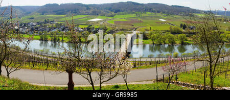 Lösnich On The Moselle Panorama In Springtime Stock Photo