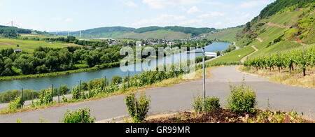 Erden On The Moselle Panorama In Summer, In The Distance Ürzig Stock Photo