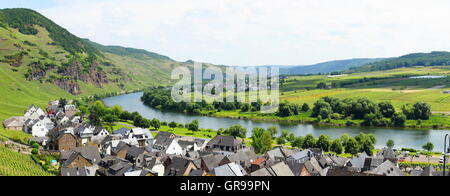 Ürzig And Erden On The Moselle Panorama In Summer Stock Photo