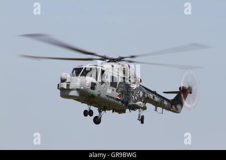 British built Royal Navy Westland Lynx HMA.8SRU XZ692/641 of the Royal Navy Black Cats helicopter display team. Stock Photo