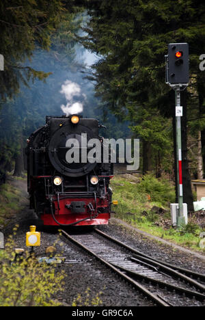 Locomotive In The Harz Mountains Stock Photo