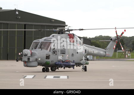 British built Royal Navy Westland Lynx HMA.8 helicopter ZD257 '642' parked on the ramp at Royal Naval Air Station Yeovilton Stock Photo