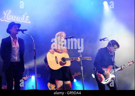 The Common Linnets In Concert Stock Photo