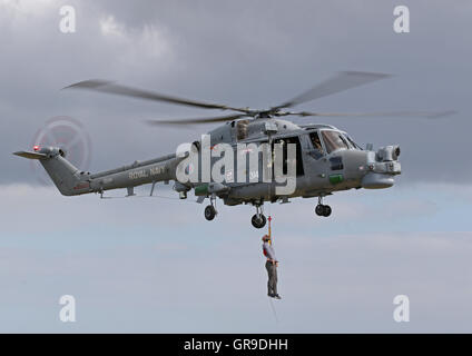 British built Royal Navy Westland Lynx HMA.8 helicopter ZD261 '314' demonstrating winching capabilities at RNAS Yeovilton Stock Photo