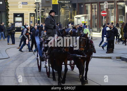 Fiaker In Viennas City Center Stock Photo