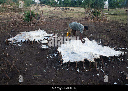 Tanner at work ( Ethiopia) Stock Photo