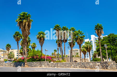 Garden and city walls in Tiberias - Israel Stock Photo