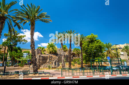 Garden and city walls in Tiberias - Israel Stock Photo