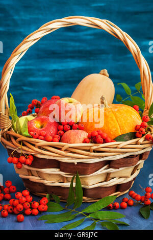 Autumnal still life with pumpkins, apples and rowanberry in a basket on blue wooden background Stock Photo