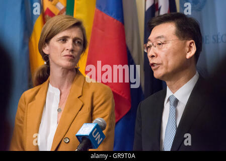 South Korean Deputy Permanent Representative to the UN Hahn Choong-hee ...