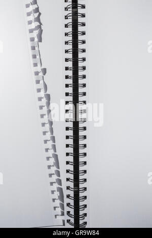 Page torn from a blank white notebook. Stock Photo