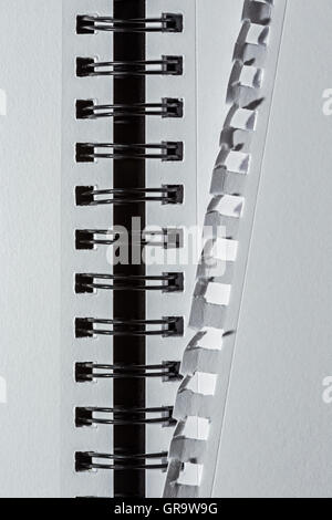 Page torn from a blank white notebook. Stock Photo