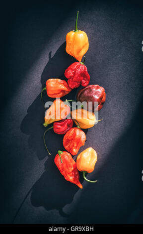Hot Chillies on a dark background Stock Photo
