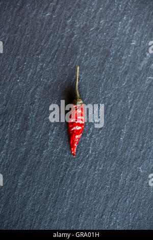 Single Chili On A Slate Platter Stock Photo