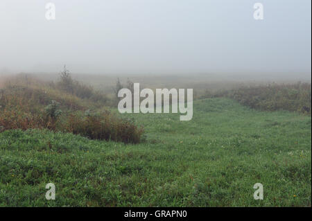 Beginning of autumn. Foggy morning on the field with dew on grass and trees silhouettes. Stock Photo