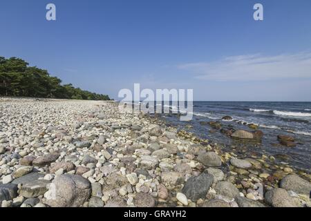 Pebble Beach In The Nature Reserve At Böda On Öland Island, Sweden, Looking North Stock Photo