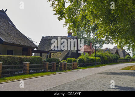 Village Street In Kloster Village, Dornbusch, Hiddensee, With Thatched Cottages Stock Photo