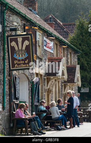 Plume of Feathers pub, Rickford, North Somerset Stock Photo