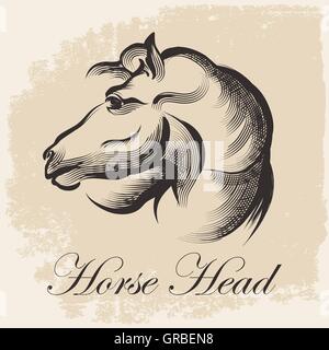 Sketch of Horse Head drawing in retro ink style. Vector Illustration. Stock Vector