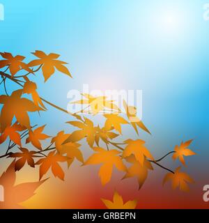 Maple leaves on the branches in the autumn forest. Autumn concept background. Stock Vector