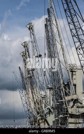 Cranes, Harbor, Hamburg Stock Photo